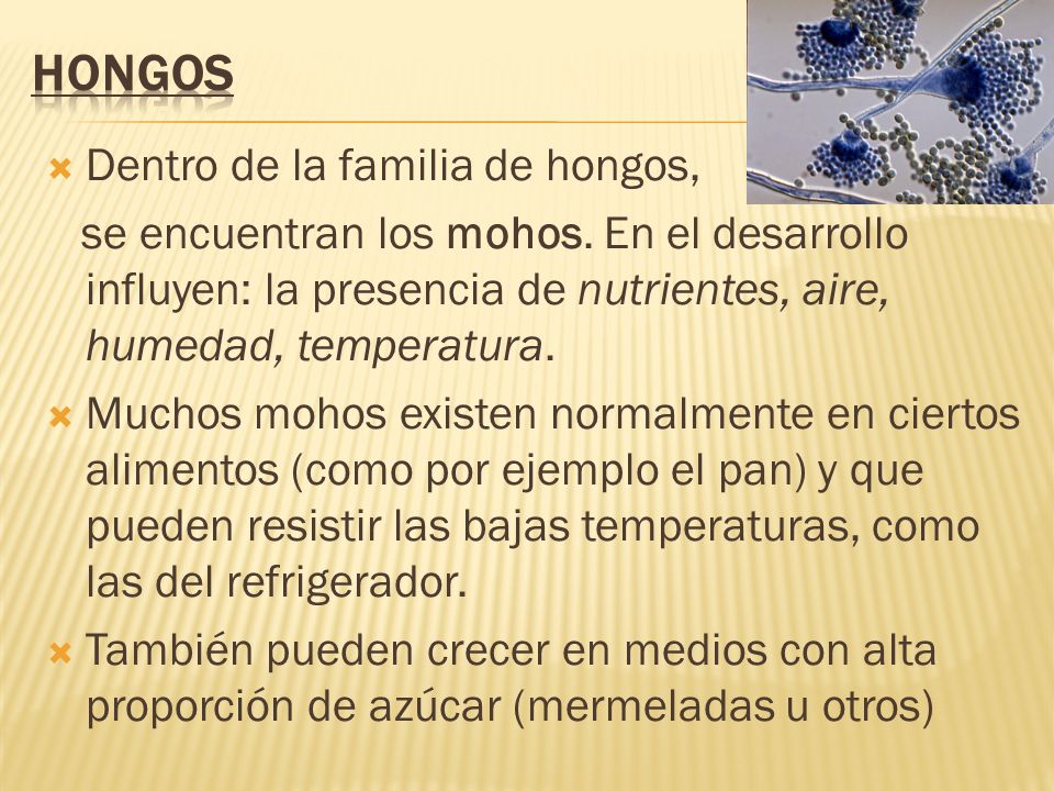 Como discernir el hongo de las uñas a los niños